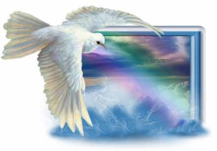 bird rainbow.jpg